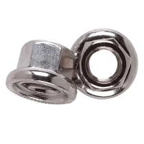 5/16” Track Nuts (100)