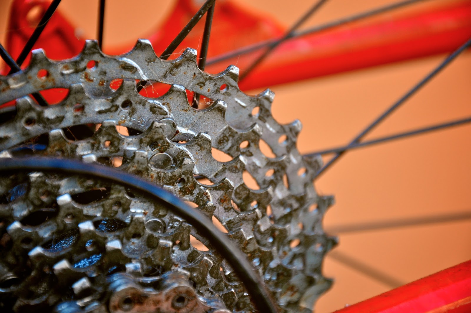 cleaning bicycle cassette